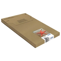 Μελάνι Εκτυπωτή Epson C13T03A64510 Πολύχρωμο