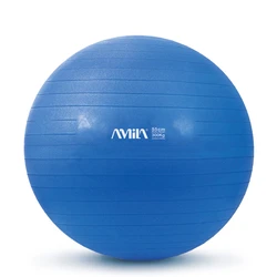 AMILA Gym Ball 55 cm - Blue