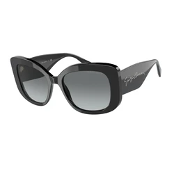 Αντρικά Γυαλιά Ηλίου Giorgio Armani Ar8150-500111 (53/18/140 mm) Black