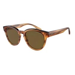 Γυναικεία Γυαλιά Ηλίου Giorgio Armani Ar8164F592173 (55/20/145 mm) Brown
