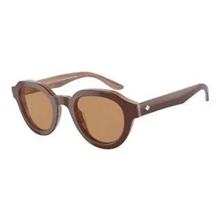Γυναικεία Γυαλιά Ηλίου Giorgio Armani Ar8172U596953 (46/24/145 mm) Brown