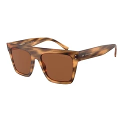Unisex Γυαλιά Ηλίου Giorgio Armani Ar8177-592173 (52/20/140 mm) Brown