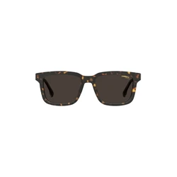 Unisex Γυαλιά Ηλίου Carrera Carrera251S08 (53/16/145 mm) Brown