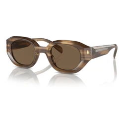 Emporio Armani Ανδρικά Γυαλιά Ηλίου EA4230U 614973 (48/25/145) Καφέ