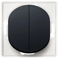 Διακόπτης Τοίχου EON E606.E1 Serial without cover frame, soft-touch black