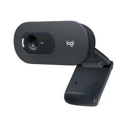 Webcam Logitech C505 - Web-Kamera