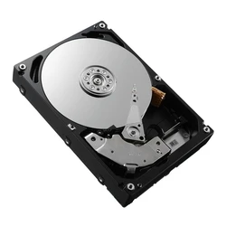 Dell Σκληροί Δίσκοι HDD 4TB SATA 7200RPM 3.5 ιντσών 64MB