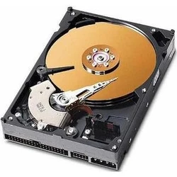 CoreParts HDD 40GB 3.5 IDE 7200RPM