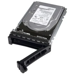 Dell Internal HDD 1.2TB 10K 12Gbps 2.5inch SAS