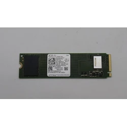 Lenovo SSD 256GB M 2 NVMe SSD with PCIe 4x4 interface