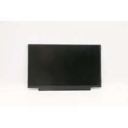 Lenovo Display 11.6 inch FHD Non Touch Anti Glare TN 250nit 45 percent NTSC