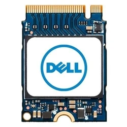 Dell SSD 256GB M.2 2230 NVMe FWJTG