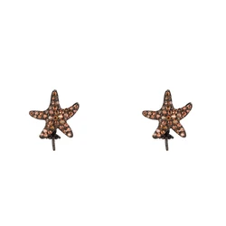 Γυναικείο Σκουλαρίκια Lancaster Jla-Ear-Star4 (1,2Mm) από Ασήμι Brown/ Black
