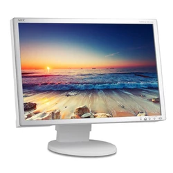 Nec EA221WM Refurbished Grade B TFT-LCD Monitor 22" 1680x1050