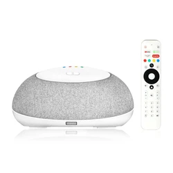 TV Box Mecool & Smart Ηχείο Ka1 Με Αποκωδικοποιητή, 4K, Android 11