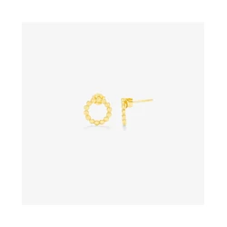 Γυναικεία Σκουλαρίκια Radiant Ry000018 (1cm) από Ατσάλι Golden