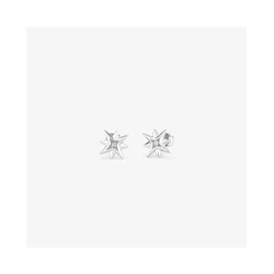 Γυναικεία Σκουλαρίκια Radiant Ry000032 (1cm) από Ατσάλι Grey