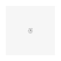 Γυναικείο Σκουλαρίκι Radiant Ry000147 (1cm) από Ατσάλι Grey