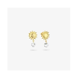 Γυναικεία Σκουλαρίκια Radiant Ry000154 (1,5cm) από Ατσάλι Golden