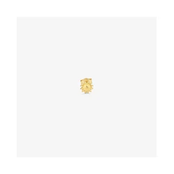 Γυναικεία Σκουλαρίκια Radiant Ry000155 (1cm) από Ατσάλι Golden