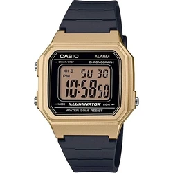Ρολόι Unisex Casio COLLECTION (? 43 mm)