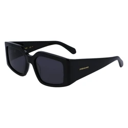 Γυναικεία Γυαλιά Ηλίου Ferragamo Sf1101S541800 (54/18/140 mm) Black