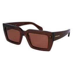 Γυναικεία Γυαλιά Ηλίου Ferragamo Sf1108S542123 (54/21/140 mm) Brown