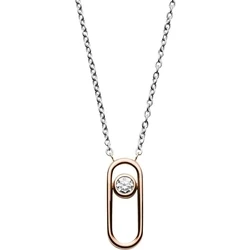 Γυναικείο Κολιέ Skagen Skj1169998 (47cm) από Ατσάλι Silver