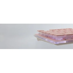 Gaming Πληκτρολόγιο White Shark Led Keyboard Gk-003441 Tachi Us Layout Pink