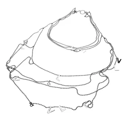 Γυναικείο Κολιέ Victorio & Lucchino Vj0001Co από Ατσάλι Silver