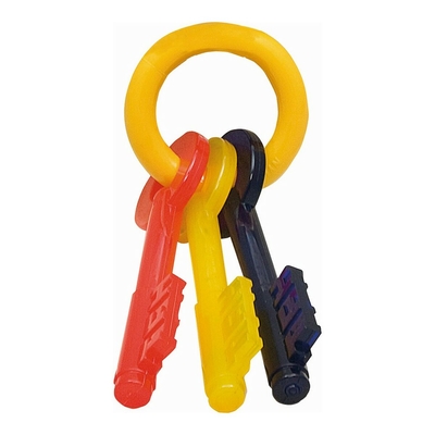 Product Μασητικό Οδοντοφυΐας Σκύλου Nylabone Κλειδιά Bacon Μέγεθος L Nylon Θερμοπλαστικό Κουτάβια base image