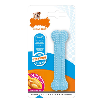 Product Dog teether Nylabone Μπλε Κοτόπουλο Θερμοπλαστικό Μέγεθος XS Κουτάβια base image