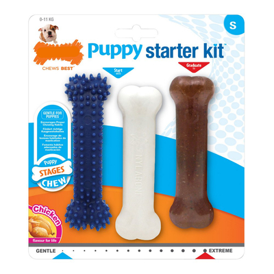 Product Dog teether Nylabone Extreme Chew Starter Kit Κουτάβια Κοτόπουλο Nylon Θερμοπλαστικό (3 pcs) base image
