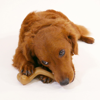 Product Παιχνίδι για Σκύλους Nylabone Κοτόπουλο 20 Κρεμ Zώα base image