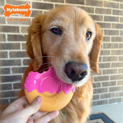 Product Παιχνίδια για Σκύλους Nylabone Ροζ Bacon L  base image