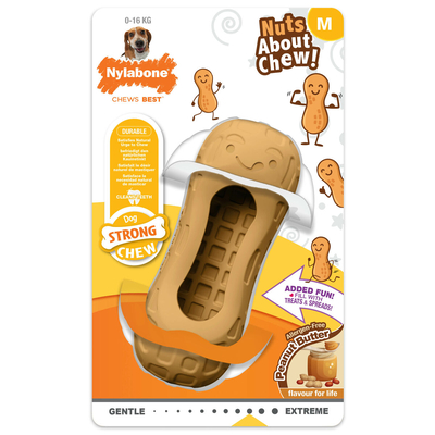 Product Παιχνίδια για Σκύλους Nylabone Καφέ Βούτυρο αραχίδας M  base image