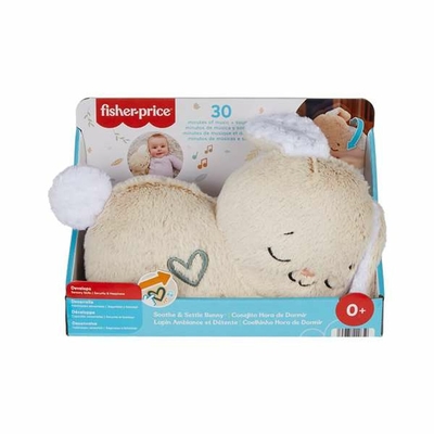 Product Αρκουδάκι με Ήχο Fisher Price Κουνέλι Πλαστική ύλη base image