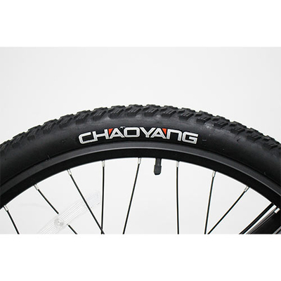 Product Λάστιχο Ποδηλάτου Lgp Tire for E-Bike Rebel base image