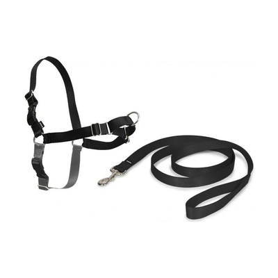 Product Λουρί για κατοικίδια PetSafe Easy Walk Μαύρο Medianav (M) base image
