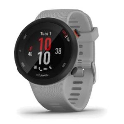 Product Smartwatch Garmin FORERUNNER 45 PLUS GPS GRAY base image