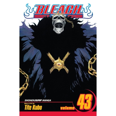 Product Viz Bleach Vol. 43 Paperback Manga base image