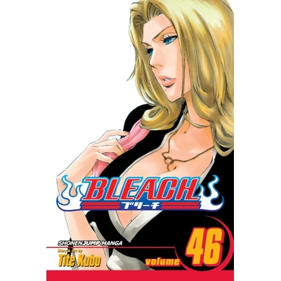 Product Viz Bleach Vol. 46 Paperback Manga base image