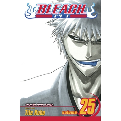 Product Viz Bleach Vol. 25 Paperback Manga base image