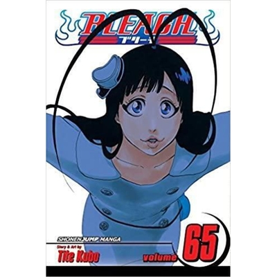 Product Viz Bleach Vol. 65 Paperback Manga base image