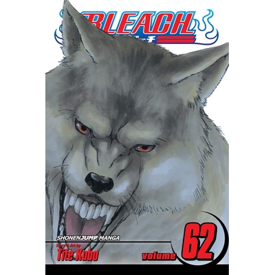 Product Viz Bleach Vol. 62 Paperback Manga base image
