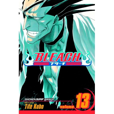 Product Viz Bleach Vol. 13 Paperback Manga base image