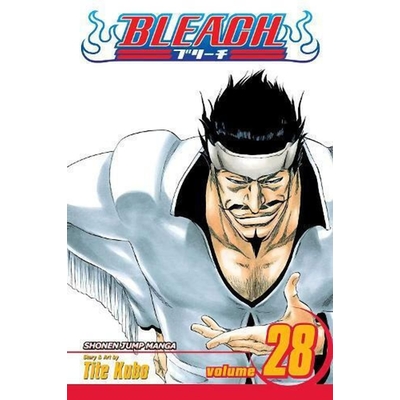 Product Viz Bleach GN Vol. 28 (Curr PTG) Paperback Manga base image