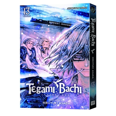 Product Viz Tegami Bachi GN Vol. 13 Paperback Manga base image