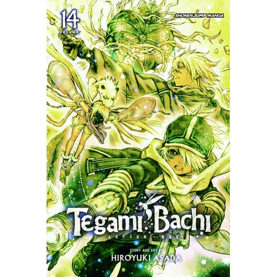 Product Viz Tegami Bachi GN Vol. 14 Paperback Manga base image