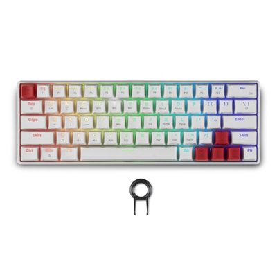 Product Spartan Gear - Pegasus 2 RGB Wired  Wireless 63 keys Mechanical Gaming Keyboard (color: White) base image